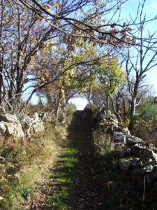 photo d'un chemin pour illustrer la randonnée